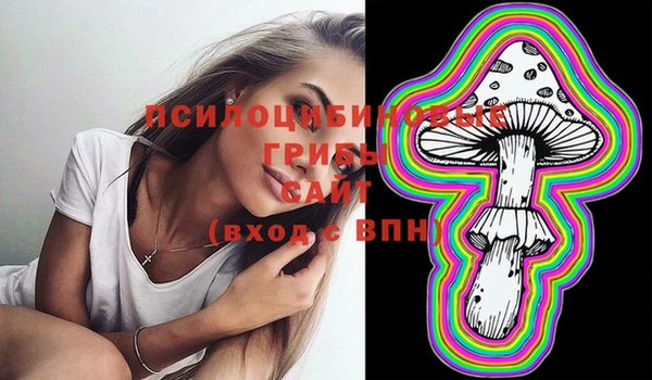 эйфоретик Алзамай