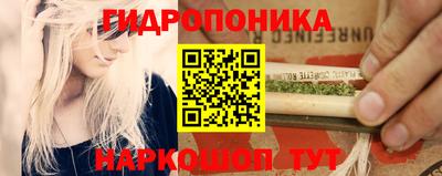 ешки Камышлов