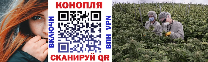 Шишки марихуана White Widow Евпатория